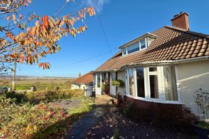 Front- click for photo gallery